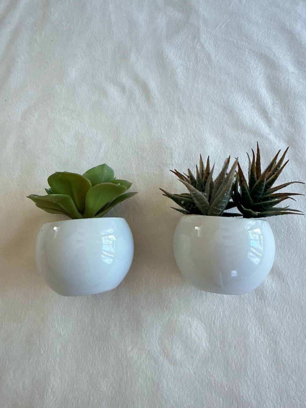 Set of 2 Faux Succulent Plants in White Ceramic Pots | Modern Home Décor